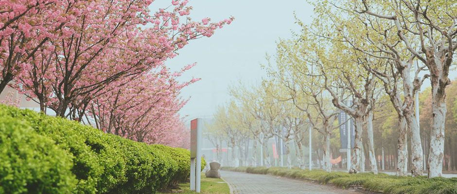 华东师范大学